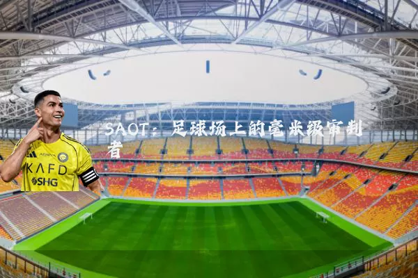 SAOT:足球场上的毫米级审判者